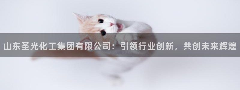 球盟会有没有黑单的球员：山东圣光化工集团有限公司：引领行业创