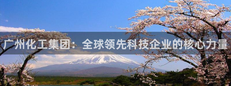 球盟会电子好下吗：广州化工集团：全球领先科技企业的核心力量