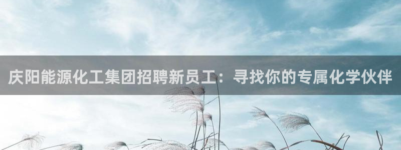 球盟会app网址多少号：庆阳能源化工集团招聘新员工：寻找你的