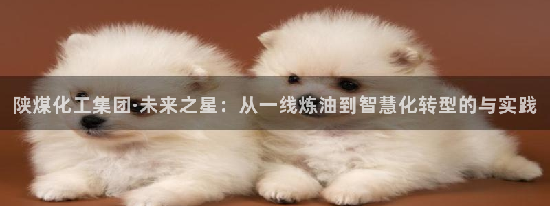 球盟会官方网站app：陕煤化工集团·未来之星：从一线炼油到智