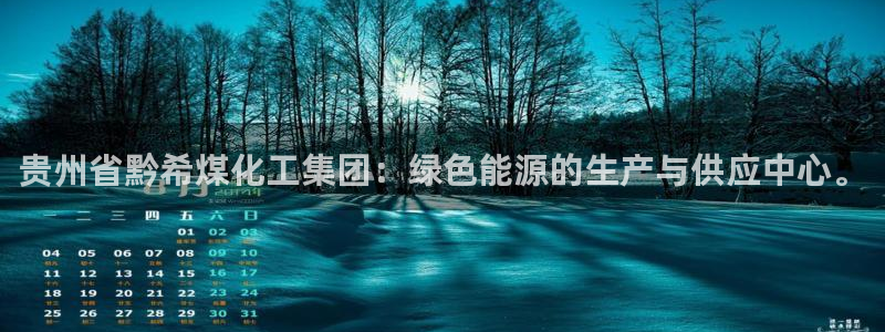 球盟会qmh网址：贵州省黔希煤化工集团：绿色能源的生产与供应