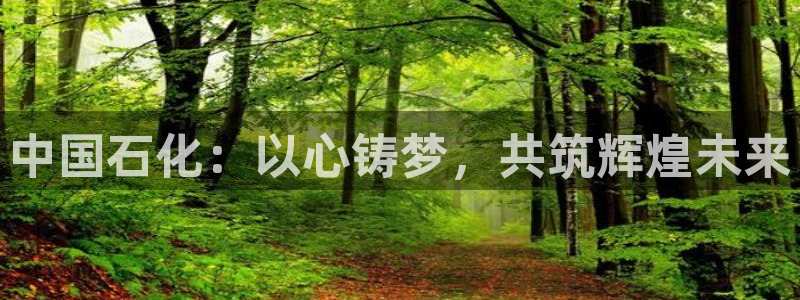 球盟会APP最新地址：中国石化：以心铸梦，共筑辉煌未来
