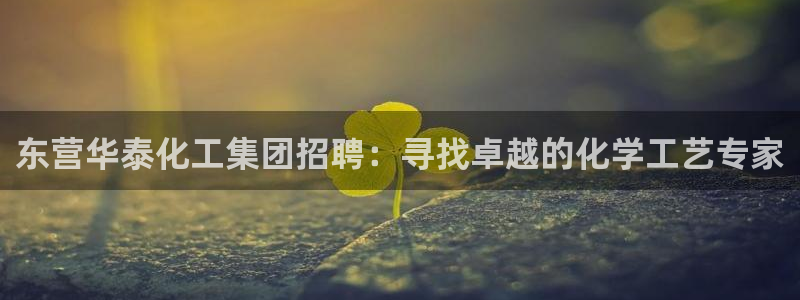 球盟会app网址多少：东营华泰化工集团招聘：寻找卓越的化学工