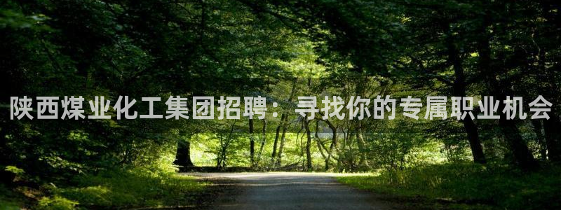 球盟会最新网：陕西煤业化工集团招聘：寻找你的专属职业机会