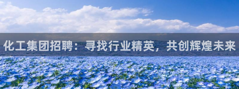 球盟会官网网页版：化工集团招聘：寻找行业精英，共创辉煌未来