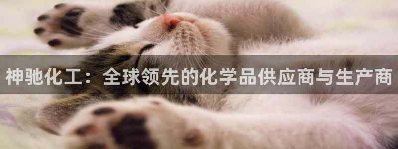 球盟会有没有黑单的活动：神驰化工：全球领先的化学品供应商与生