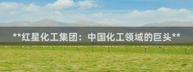 球盟会网址多少