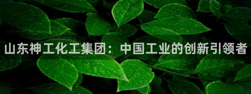 球盟会中国网页登录：山东神工化工集团：中国工业的创新引领者