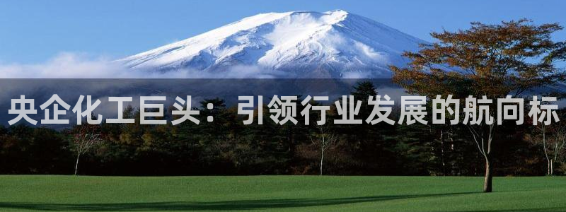 球盟会官方版下载地址