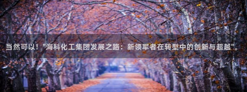 球盟会和中欧：当然可以！\