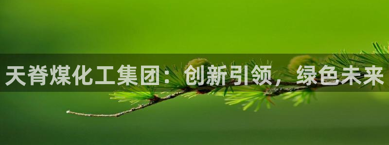 球盟会官网app下载：天脊煤化工集团：创新引领，绿色未来