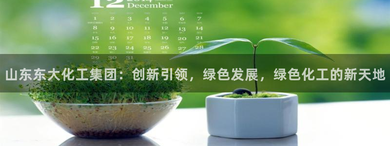 球盟会黑嘛：山东东大化工集团：创新引领，绿色发展，绿色化工的