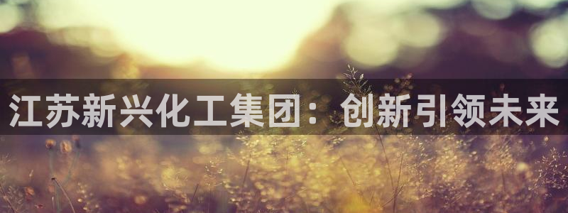 千亿球盟会乐玩：江苏新兴化工集团：创新引领未来