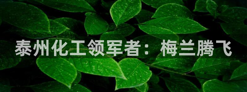 球盟会官方登录平台：泰州化工领军者：梅兰腾飞