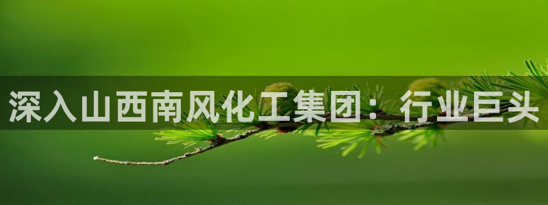 球盟会优惠领取网站