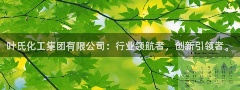 球盟会黑台：叶氏化工集团有限公司：行业领航者，创新引领者。