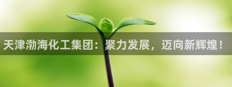 球盟会黑台子吗：天津渤海化工集团：聚力发展，迈向新辉煌！