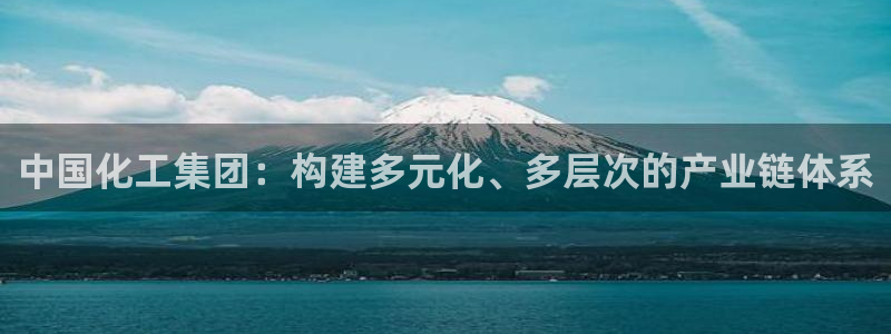 球盟会综合体育平台：中国化工集团：构建多元化、多层次的产业链