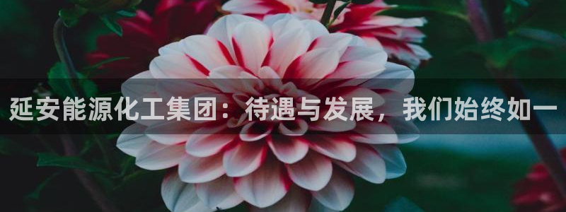 球盟会体育平台：延安能源化工集团：待遇与发展，我们始终如一