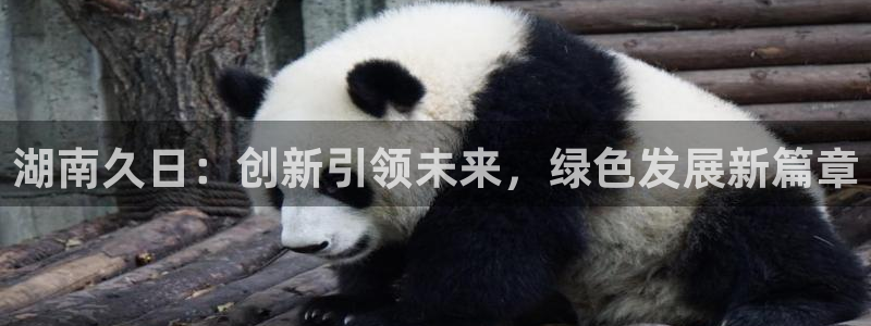 球盟会登陆入口：湖南久日：创新引领未来，绿色发展新篇章
