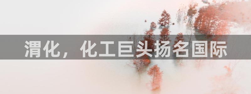 球盟会：渭化，化工巨头扬名国际