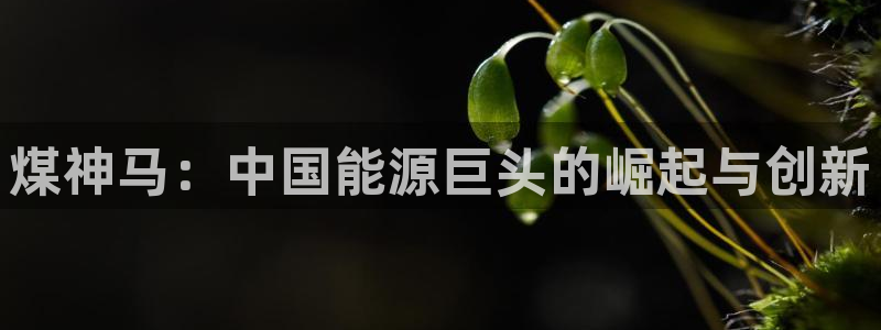 球盟会官方平台入口：煤神马：中国能源巨头的崛起与创新