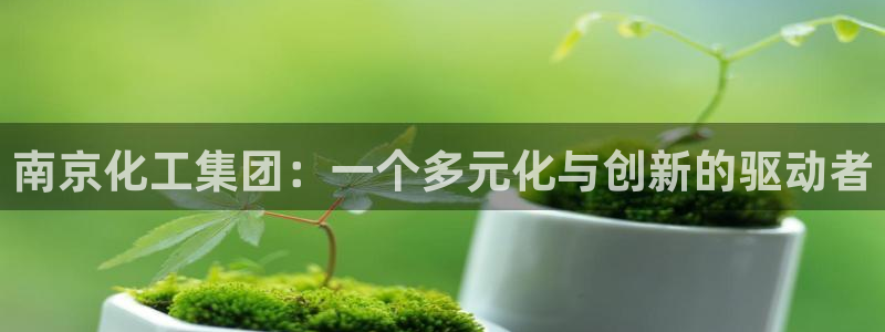球盟会官方网站是什么：南京化工集团：一个多元化与创新的驱动者