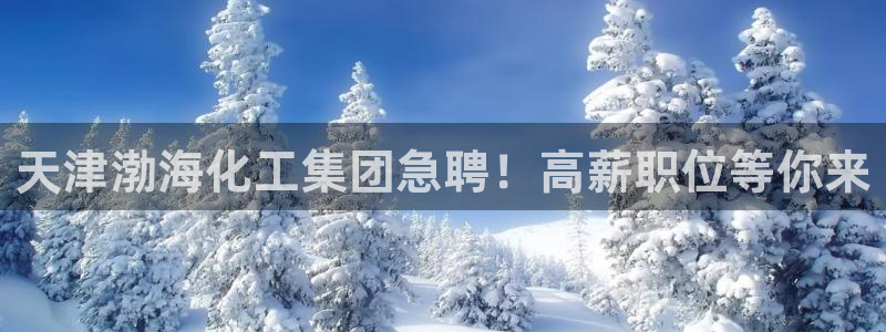 球盟会登陆：天津渤海化工集团急聘！高薪职位等你来