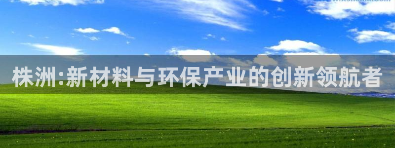 球盟会黑网：株洲:新材料与环保产业的创新领航者