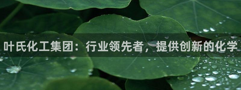 球盟会app入口：叶氏化工集团：行业领先者，提供创新的化学