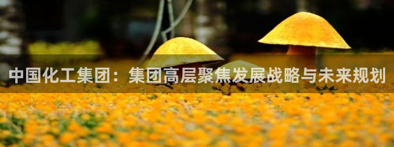 球盟会黑款吗：中国化工集团：集团高层聚焦