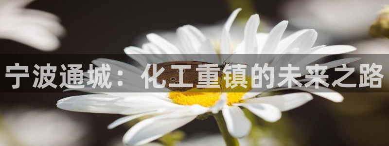 球盟会APP最新地址：宁波通城：化工重镇