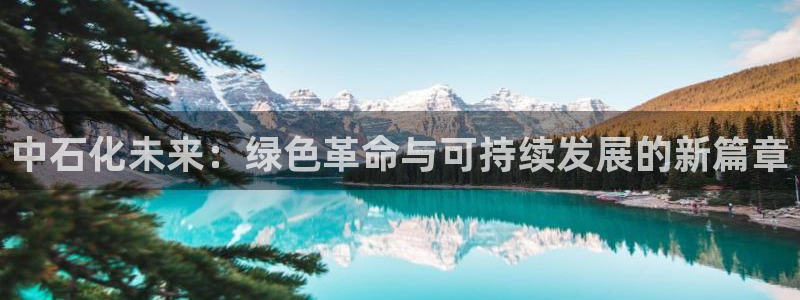 球盟会黑嘛：中石化未来：绿色革命与可持续