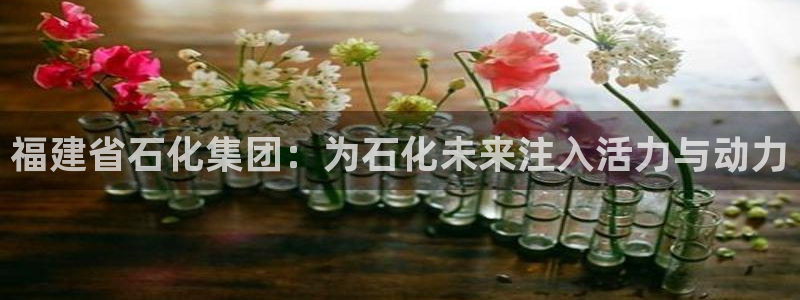 球盟会娱乐平台：福建省石化集团：为石化未