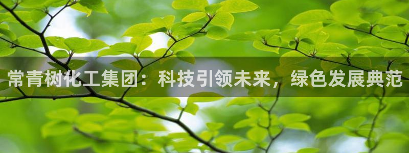 球盟会app最新地址在哪