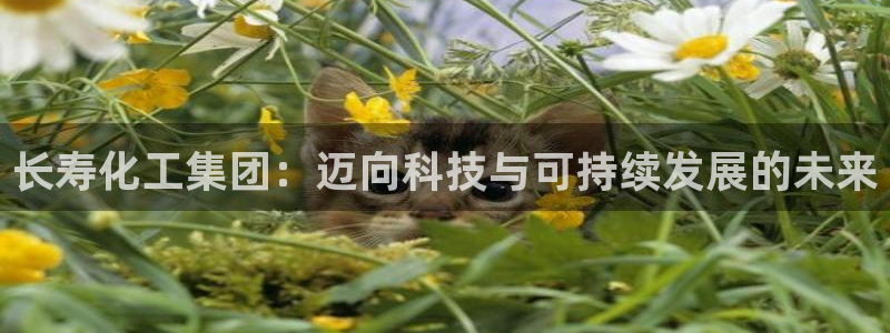 球盟会APP下载：长寿化工集团：迈向科技