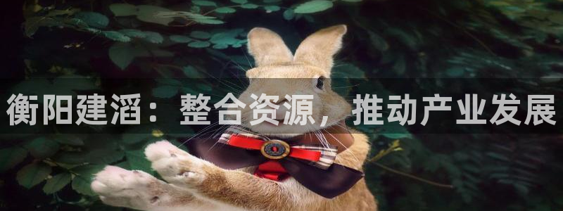 球盟会网址qm9 - 球盟会qmh网页版