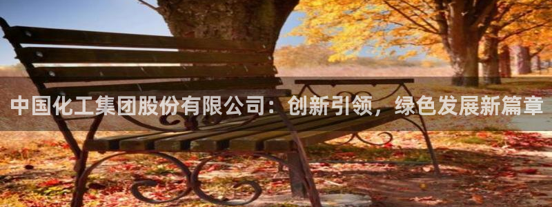 球盟会在线网站：中国化工集团股份有限公司