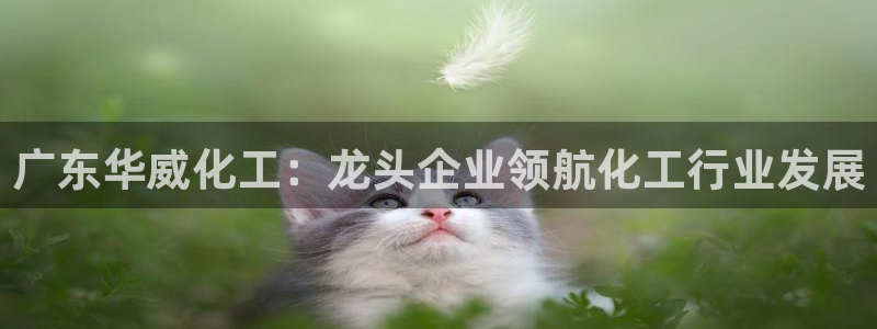 球盟会登录入口