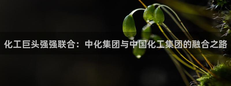 球盟会中国网页登录