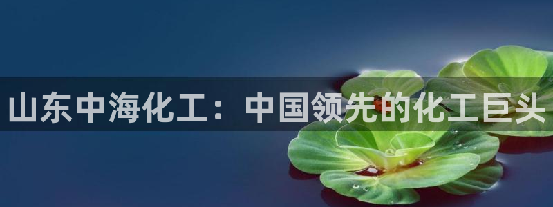 球盟会官网登录入口