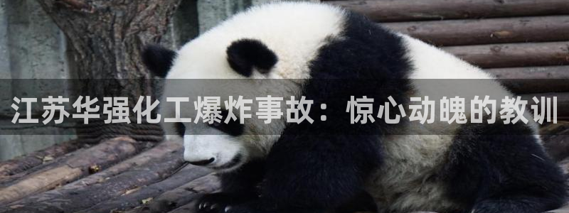 球盟会官方登录平台入口