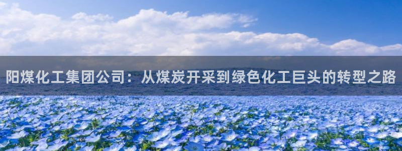 球盟会官网登录入口