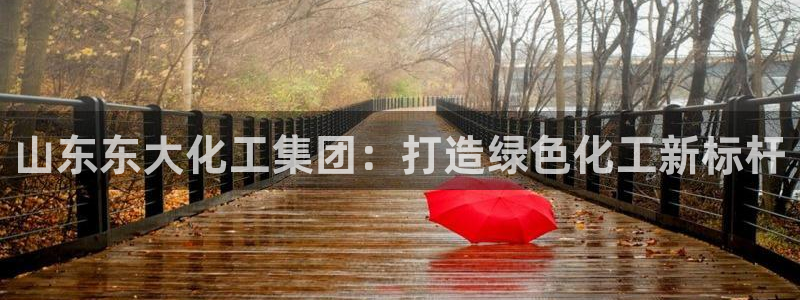 球盟会登陆入口：山东东大化工集团：打造绿色化工新标杆