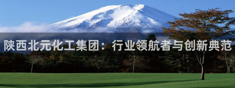 球盟会体育平台：陕西北元化工集团：行业领航者与创新典范