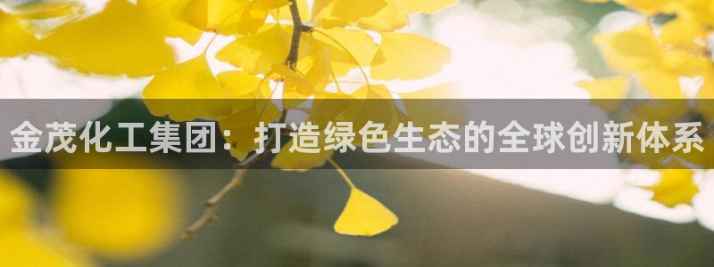 球盟会能退钱吗现在：金茂化工集团：打造绿色生态的全球创新体系