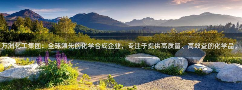 球盟会能退钱吗：万洲化工集团：全球领先的化学合成企业，专注于