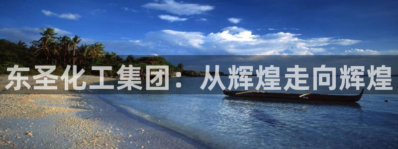 球盟会和中欧会的区别：东圣化工集团：从辉煌走向辉煌