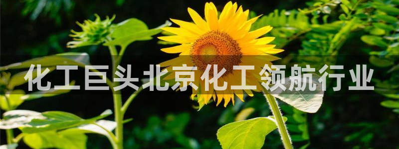 球盟会体验金：化工巨头北京化工领航行业