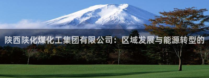 球盟会黑台子：陕西陕化煤化工集团有限公司：区域发展与能源转型